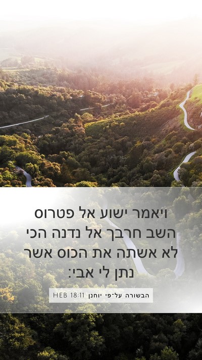 הבשורה על־פי יוחנן 18:11 HEB Bible Verse Image