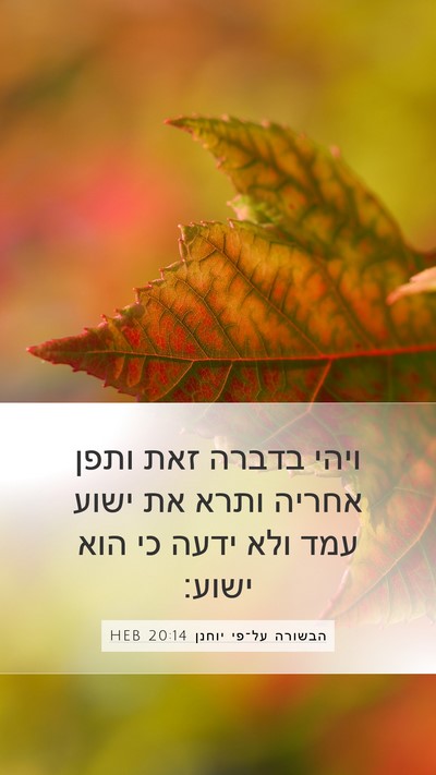 הבשורה על־פי יוחנן 20:14 HEB Bible Verse Image