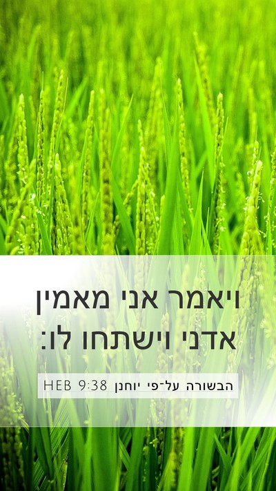 הבשורה על־פי יוחנן 9:38 HEB Bible Verse Image