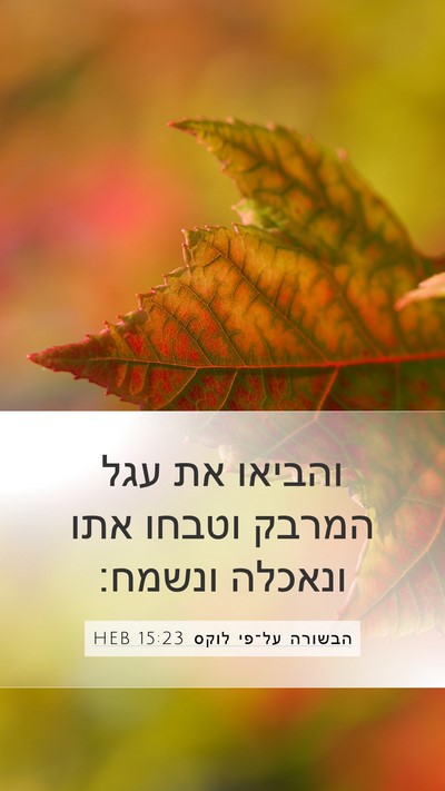 הבשורה על־פי לוקס 15:23 HEB Bible Verse Image