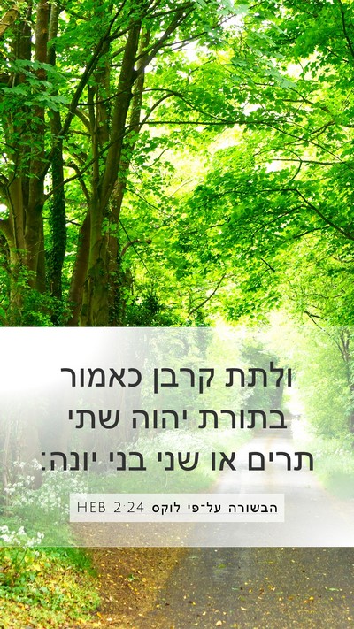 הבשורה על־פי לוקס 2:24 HEB Mobile Phone Wallpaper - ולתת קרבן כאמור בתורת יהוה - Mobile Bible Verse Wallpaper