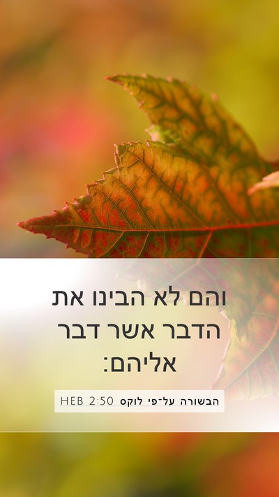 הבשורה על־פי לוקס 2:50 HEB Mobile Phone Wallpaper - והם לא הבינו את הדבר אשר - Mobile Bible Verse Wallpaper