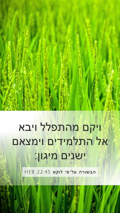 הבשורה על־פי לוקס 22:45 HEB Bible Verse Image