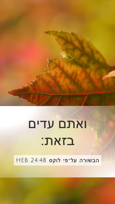 הבשורה על־פי לוקס 24:48 HEB Bible Verse Image
