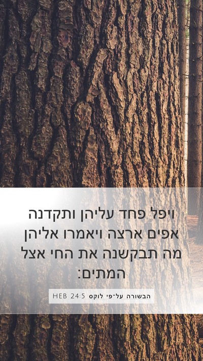 הבשורה על־פי לוקס 24:5 HEB Mobile Phone Wallpaper - ויפל פחד עליהן ותקדנה אפים - Mobile Bible Verse Wallpaper