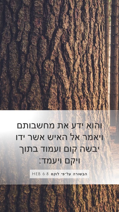 הבשורה על־פי לוקס 6:8 HEB Bible Verse Image