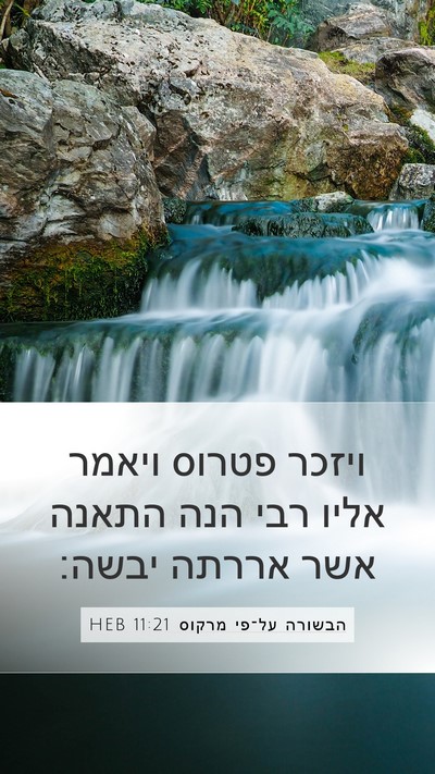 הבשורה על־פי מרקוס 11:21 HEB Mobile Phone Wallpaper - ויזכר פטרוס ויאמר אליו רבי - Mobile Bible Verse Wallpaper
