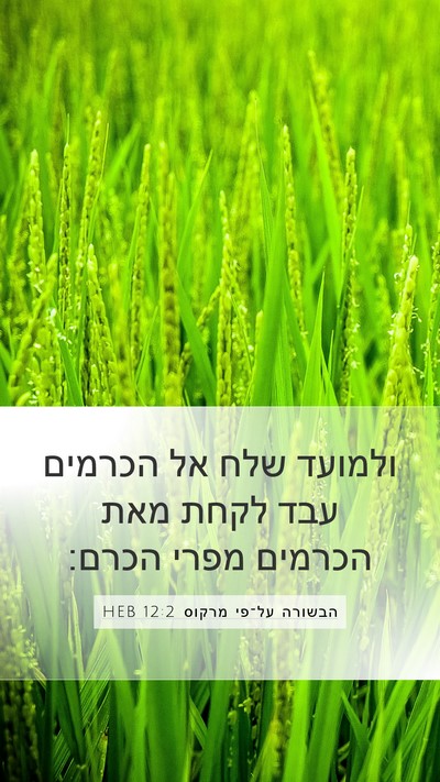 הבשורה על־פי מרקוס 12:2 HEB Bible Verse Image
