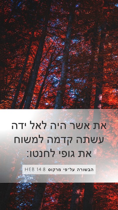 הבשורה על־פי מרקוס 14:8 HEB Bible Verse Image