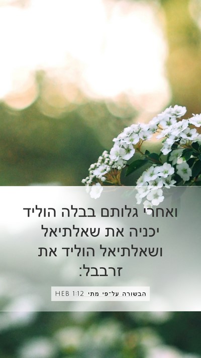 הבשורה על־פי מתי 1:12 HEB Bible Verse Image