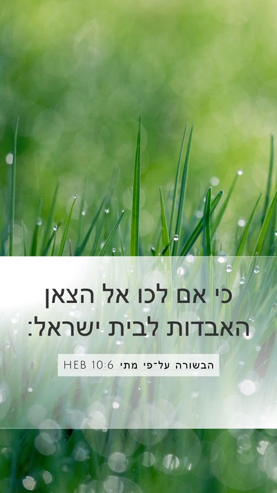 הבשורה על־פי מתי 10:6 HEB Bible Verse Image