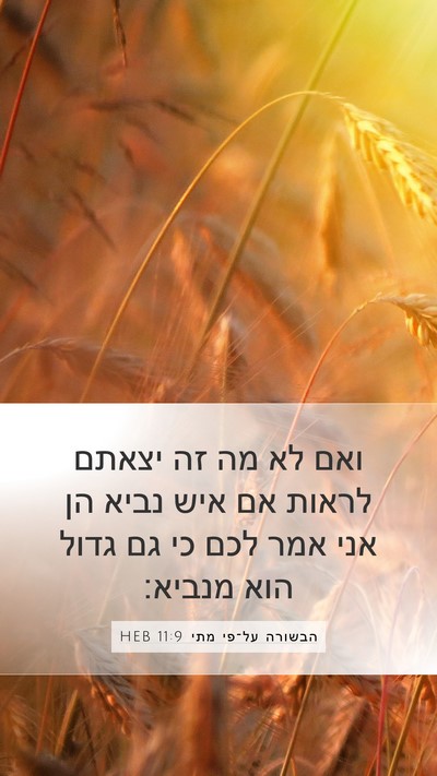 הבשורה על־פי מתי 11:9 HEB Bible Verse Image
