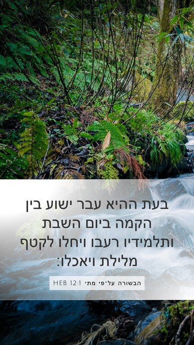 הבשורה על־פי מתי 12:1 HEB Bible Verse Image