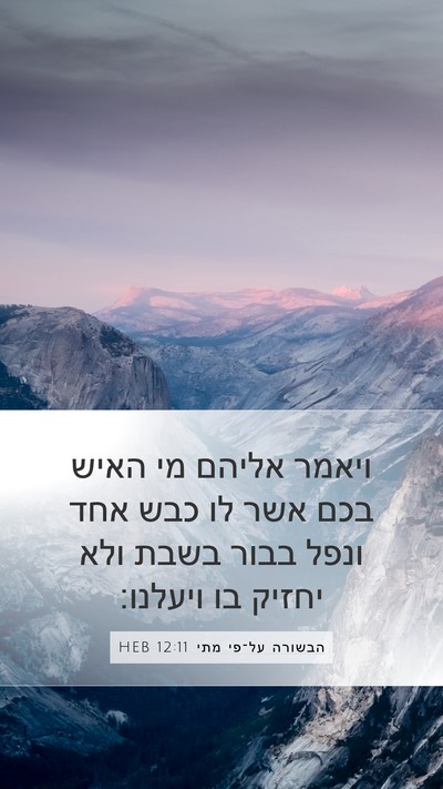 הבשורה על־פי מתי 12:11 HEB Bible Verse Image
