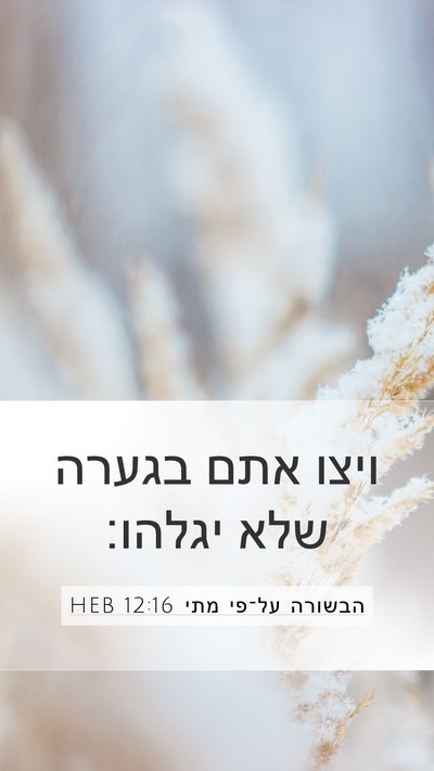 הבשורה על־פי מתי 12:16 HEB Bible Verse Image