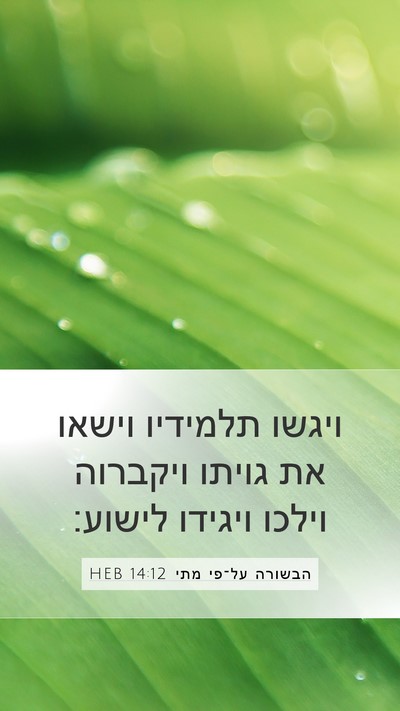 הבשורה על־פי מתי 14:12 HEB Mobile Phone Wallpaper - ויגשו תלמידיו וישאו את - Mobile Bible Verse Wallpaper