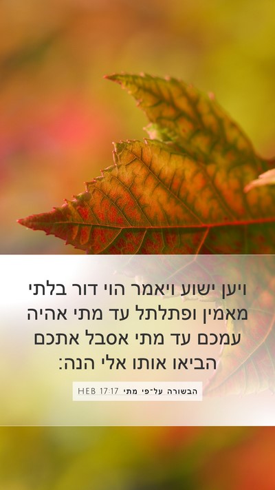 הבשורה על־פי מתי 17:17 HEB Bible Verse Image