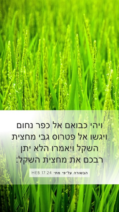 הבשורה על־פי מתי 17:24 HEB Bible Verse Image