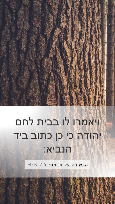 הבשורה על־פי מתי 2:5 HEB Bible Verse Image
