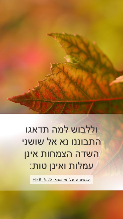 הבשורה על־פי מתי 6:28 HEB Bible Verse Image