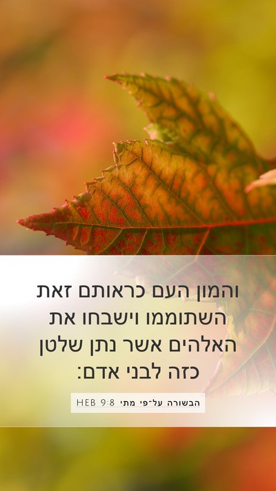 הבשורה על־פי מתי 9:8 HEB Bible Verse Image