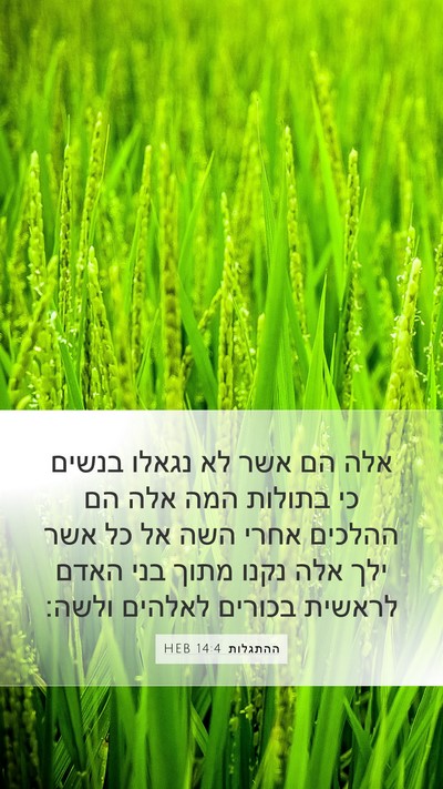 ההתגלות 14:4 HEB Bible Verse Image