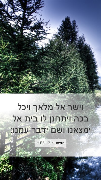 הושע 12:4 HEB Bible Verse Image