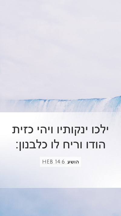 הושע 14:6 HEB Bible Verse Image