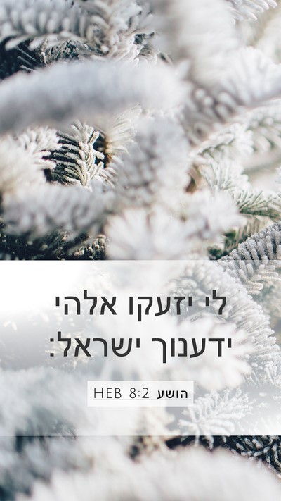 הושע 8:2 HEB Mobile Phone Wallpaper - לי יזעקו אלהי ידענוך - Mobile Bible Verse Wallpaper