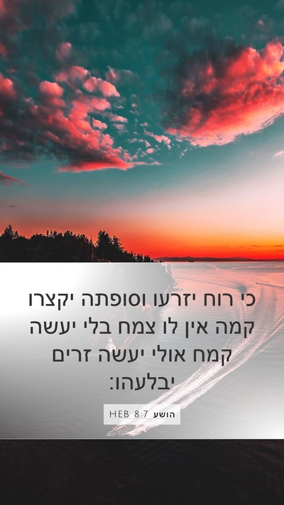 הושע 8:7 HEB Bible Verse Image