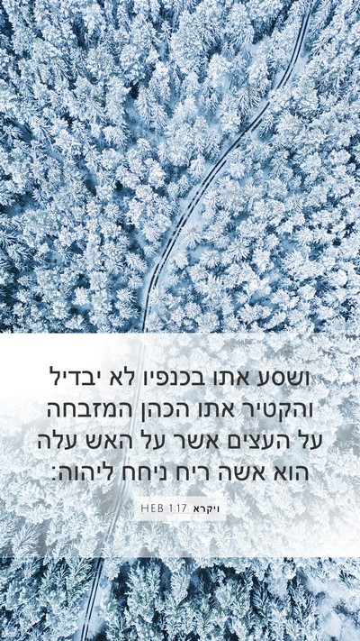 ויקרא 1:17 HEB Bible Verse Image
