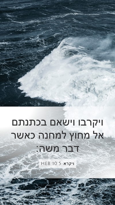 ויקרא 10:5 HEB Bible Verse Image