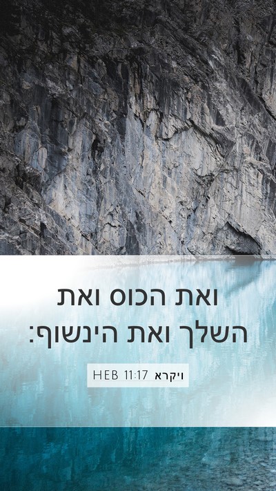 ויקרא 11:17 HEB Mobile Phone Wallpaper - ואת הכוס ואת השלך ואת - Mobile Bible Verse Wallpaper