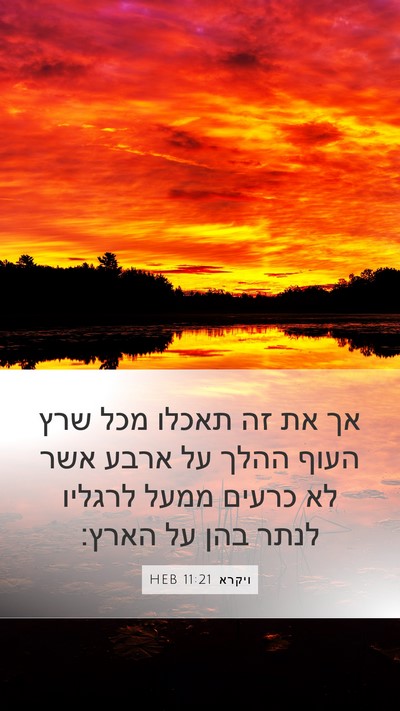 ויקרא 11:21 HEB Mobile Phone Wallpaper - אך את זה תאכלו מכל שרץ העוף - Mobile Bible Verse Wallpaper