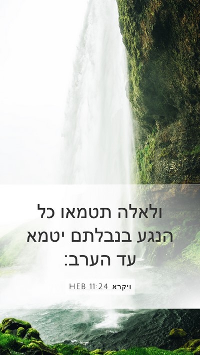 ויקרא 11:24 HEB Bible Verse Image
