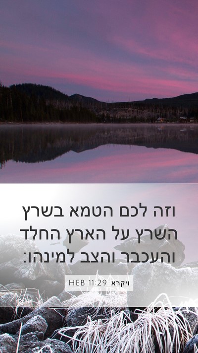 ויקרא 11:29 HEB Mobile Phone Wallpaper - וזה לכם הטמא בשרץ השרץ על - Mobile Bible Verse Wallpaper