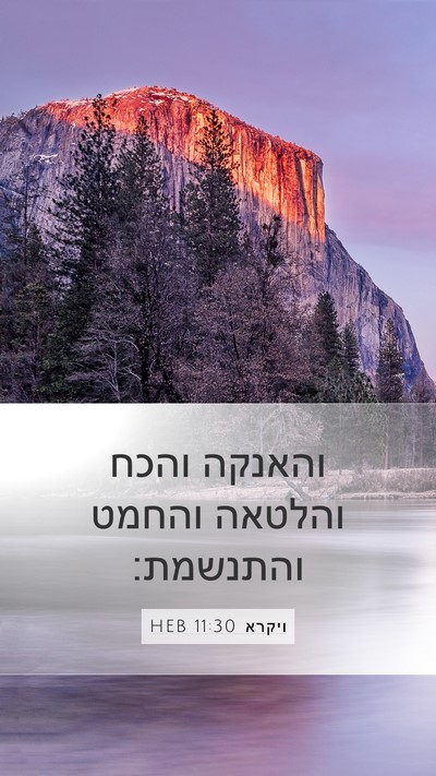 ויקרא 11:30 HEB Mobile Phone Wallpaper - והאנקה והכח והלטאה והחמט - Mobile Bible Verse Wallpaper