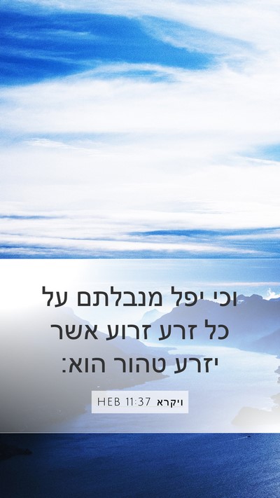 ויקרא 11:37 HEB Mobile Phone Wallpaper - וכי יפל מנבלתם על כל זרע - Mobile Bible Verse Wallpaper