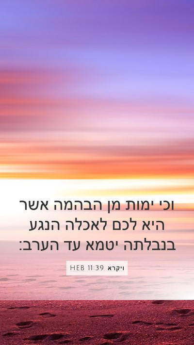 ויקרא 11:39 HEB Bible Verse Image