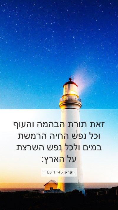 ויקרא 11:46 HEB Bible Verse Image
