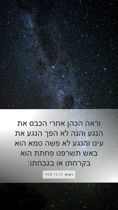 ויקרא 13:55 HEB Mobile Phone Wallpaper - וראה הכהן אחרי הכבס את הנגע - Mobile Bible Verse Wallpaper