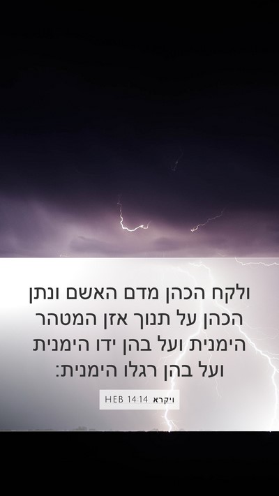 ויקרא 14:14 HEB Bible Verse Image