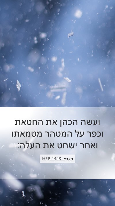 ויקרא 14:19 HEB Bible Verse Image