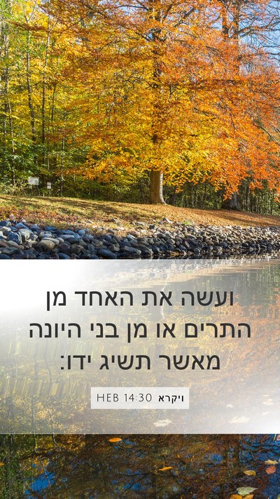 ויקרא 14:30 HEB Bible Verse Image