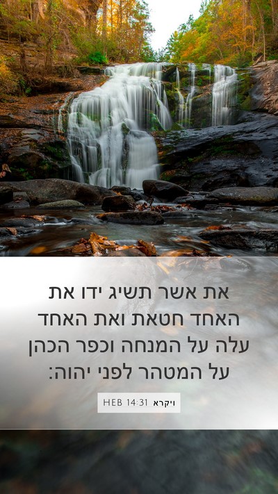 ויקרא 14:31 HEB Bible Verse Image