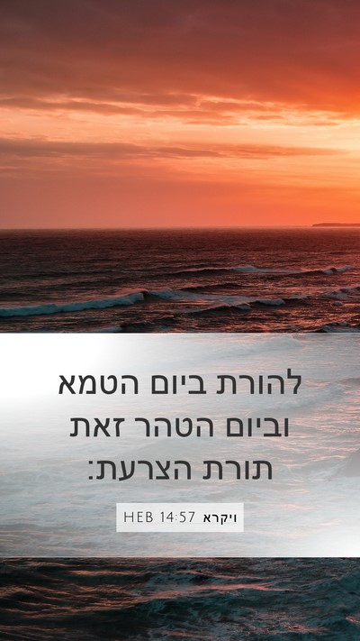 ויקרא 14:57 HEB Mobile Phone Wallpaper - להורת ביום הטמא וביום הטהר - Mobile Bible Verse Wallpaper