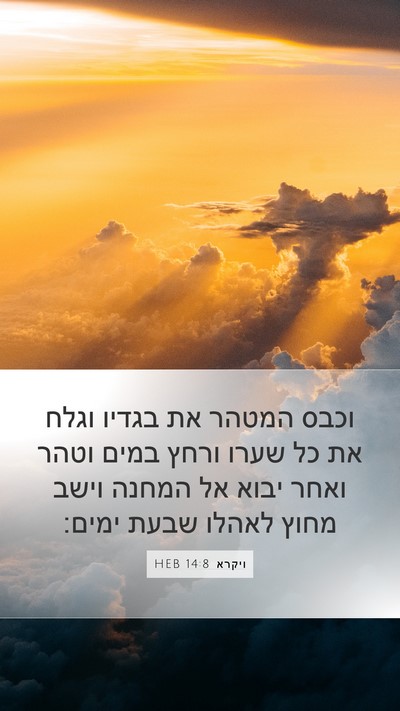ויקרא 14:8 HEB Bible Verse Image