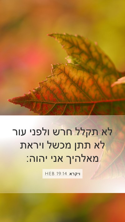 ויקרא 19:14 HEB Bible Verse Image