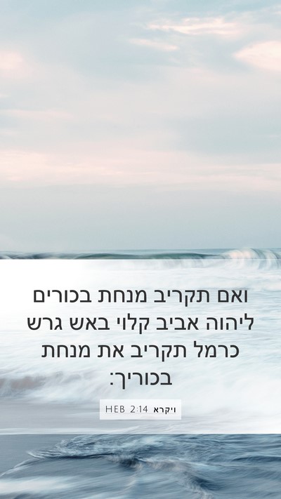 ויקרא 2:14 HEB Bible Verse Image