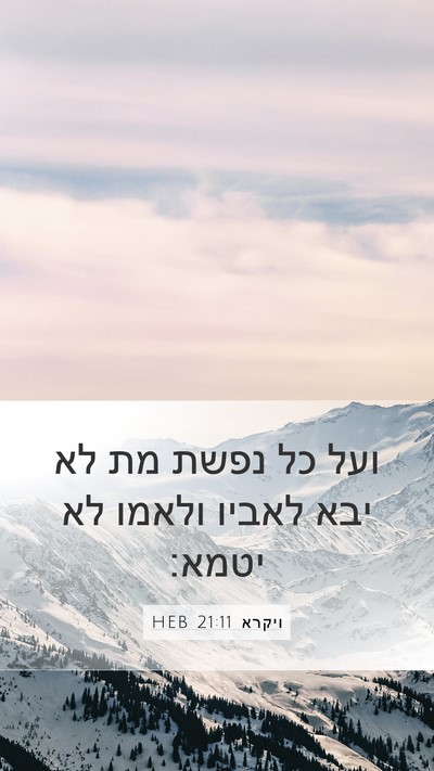 ויקרא 21:11 HEB Bible Verse Image
